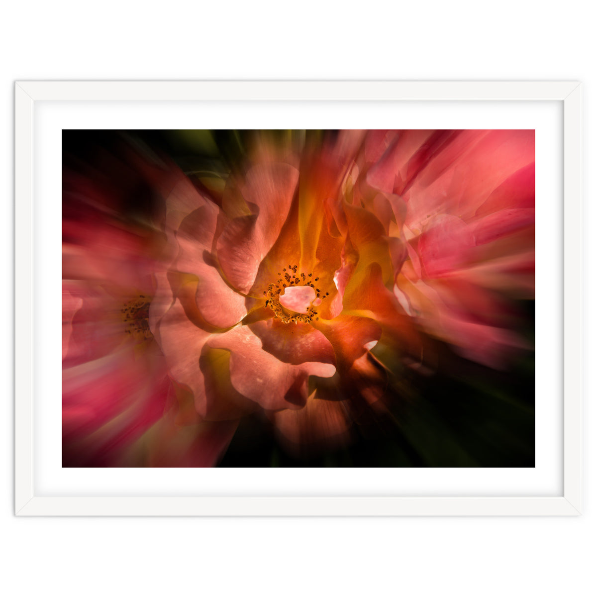 Backyard Flowers No 40 Color Flow Version