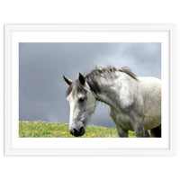 White Horse