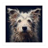 Old Dog 07 (Print Only) thumbnail