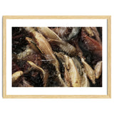 Fish01 thumbnail