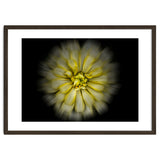Backyard Flowers No 86 Color Flow Version thumbnail