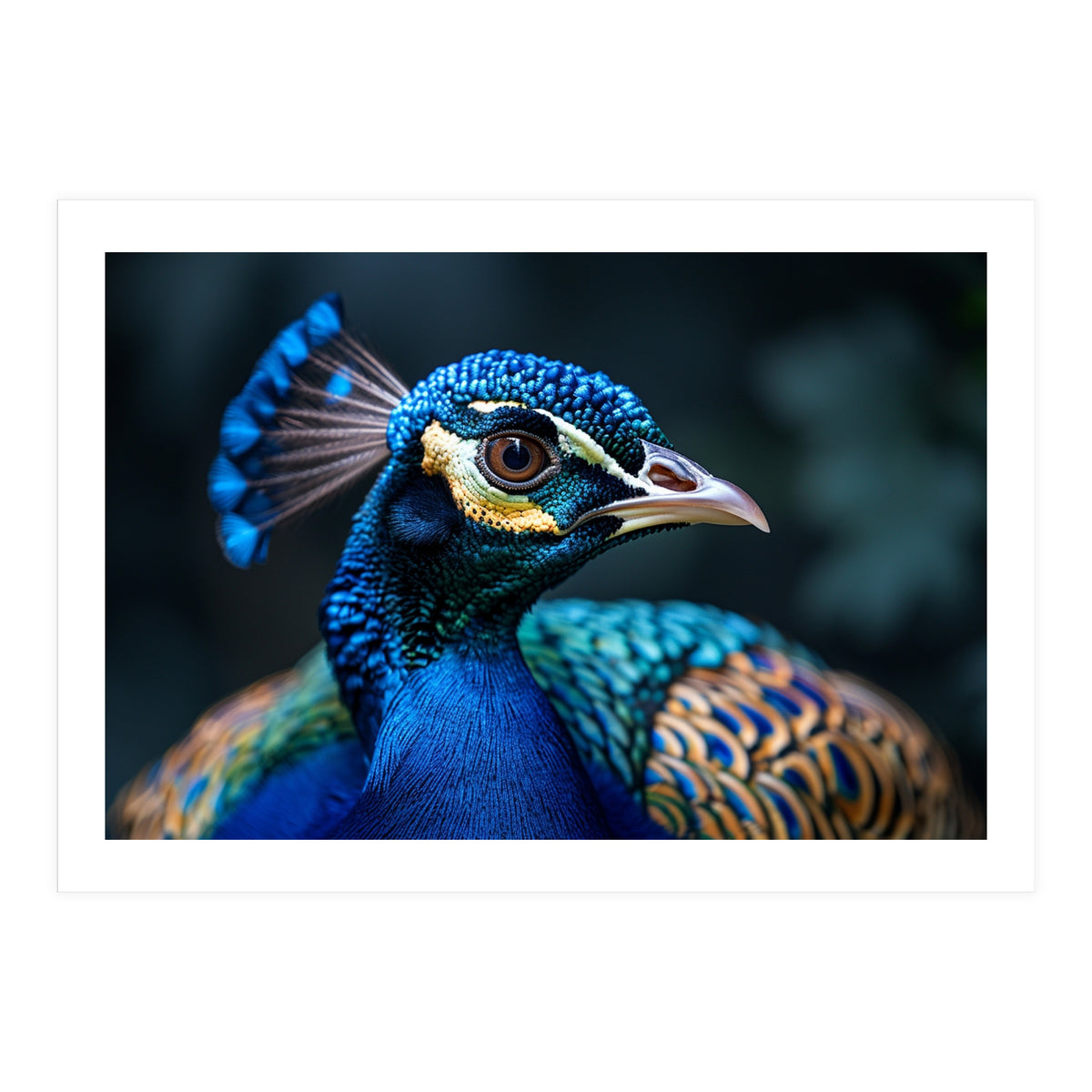 Peacock Head Close Up Majestic Blue Bird (Print Only)