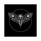 Deaths Head Moth (Print Only) thumbnail