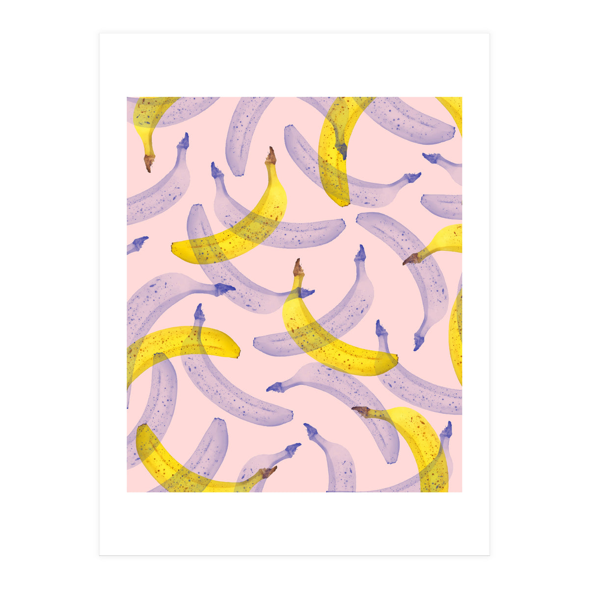 Banana Under Scrutiny (Print Only)