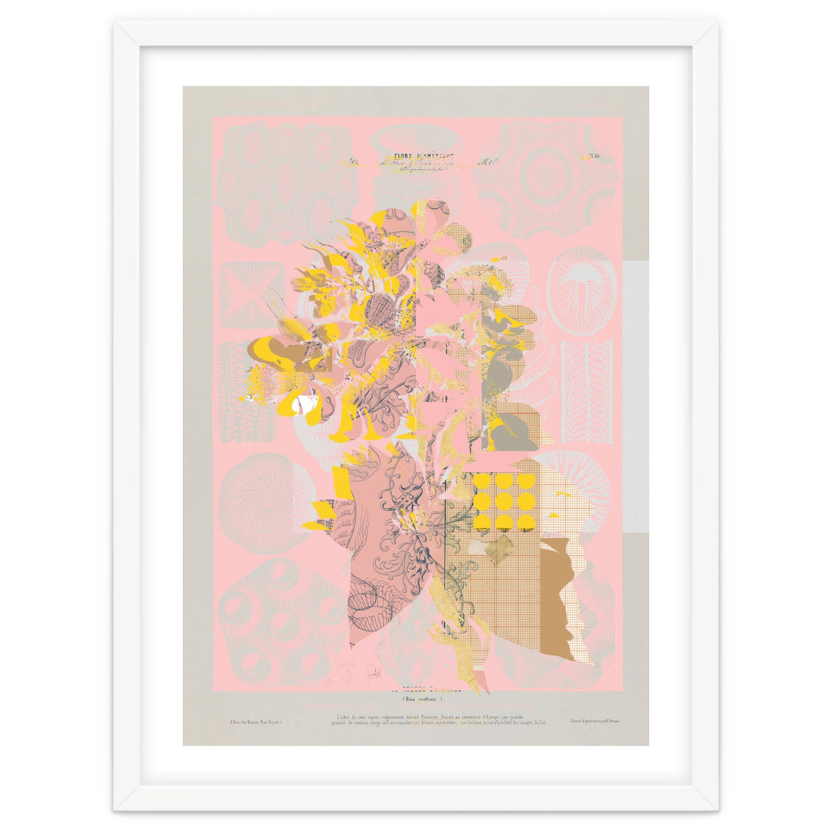 The First Plant · Tuesday Mix Mit Resten