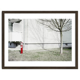 Red light pole and Tree shadow on the wall thumbnail