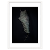 Leaves No 3 Color Version thumbnail