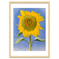 Georgia O’Keeffe – Sunflower, New Mexico (1935) | Bold Modernist Floral Painting Inspired by the American Southwest