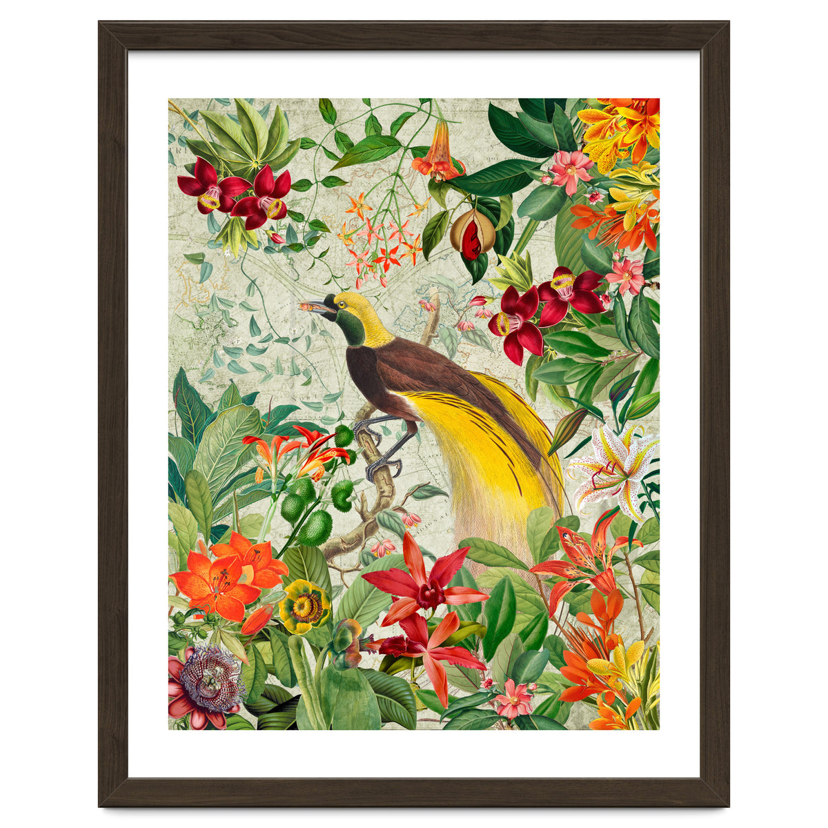 Bird of paradise vintage jungle