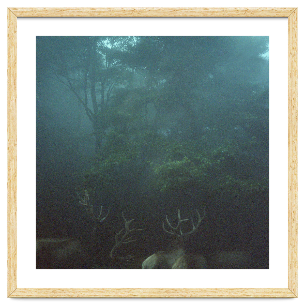 Silence of breath - 12