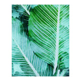 Rearranged Beauty (Print Only) thumbnail