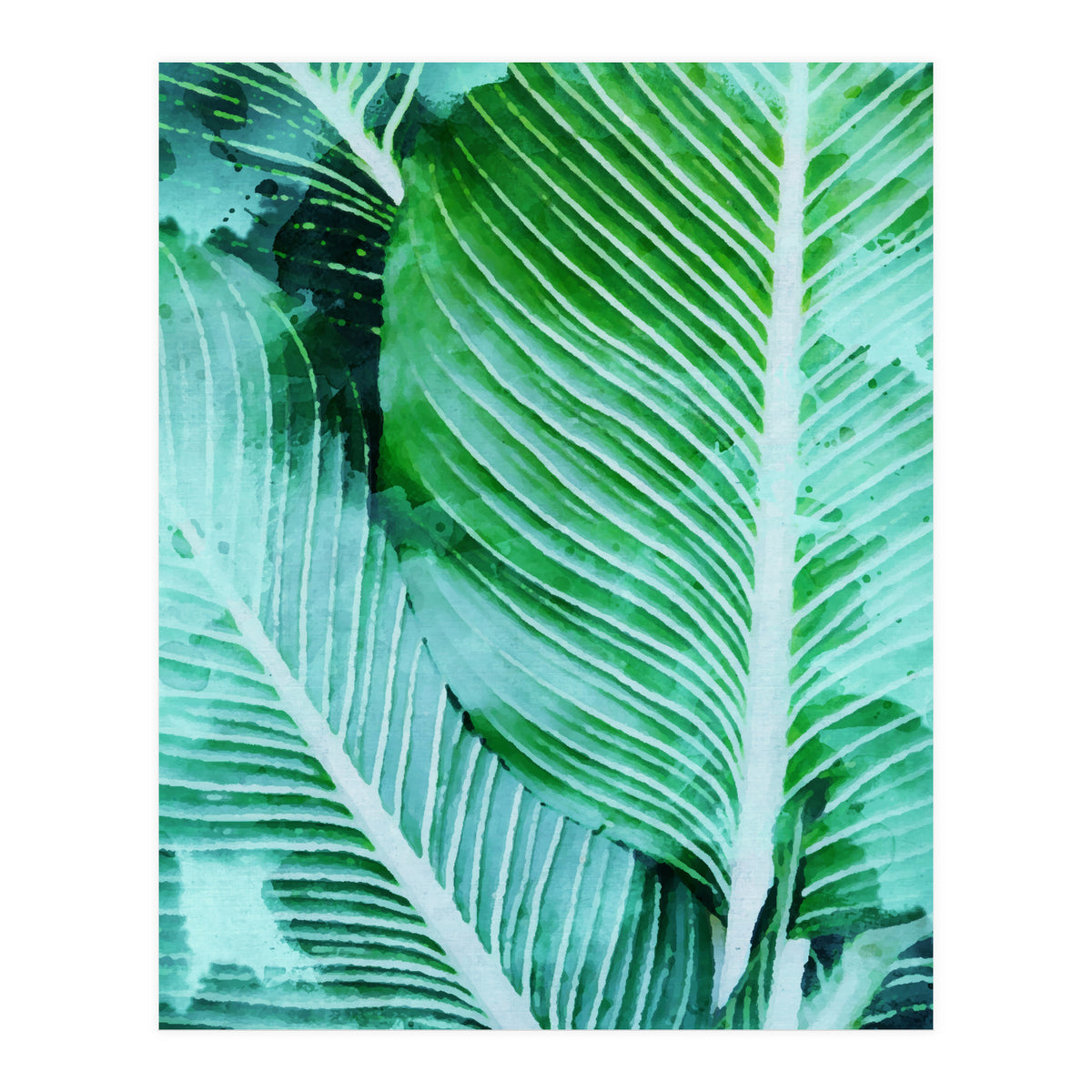 Rearranged Beauty (Print Only)