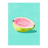 Guava Fruit Illustration (Print Only) thumbnail