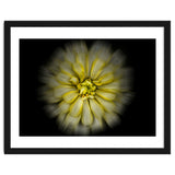 Backyard Flowers No 86 Color Flow Version thumbnail