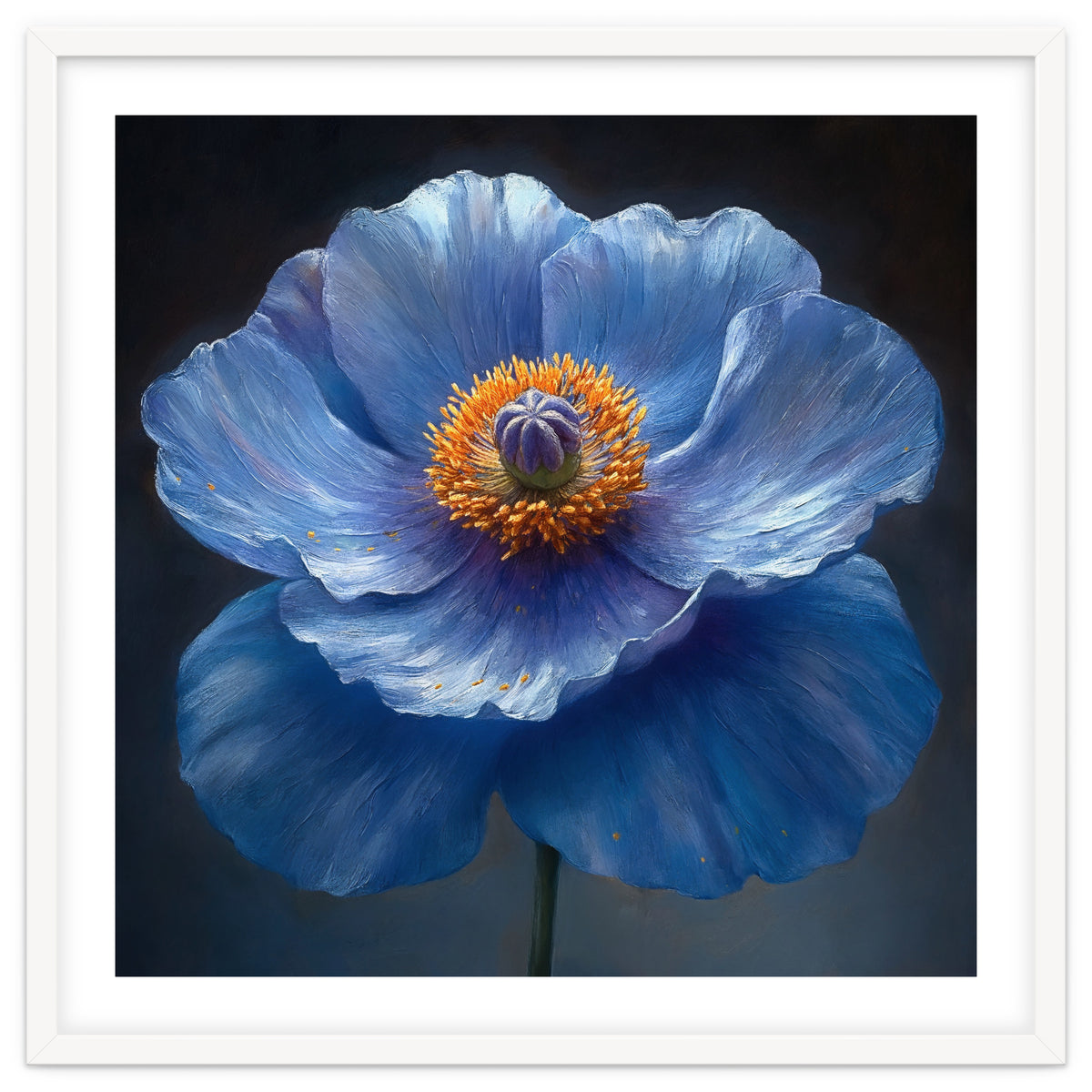 Meconopsis | Sapphire Serenade