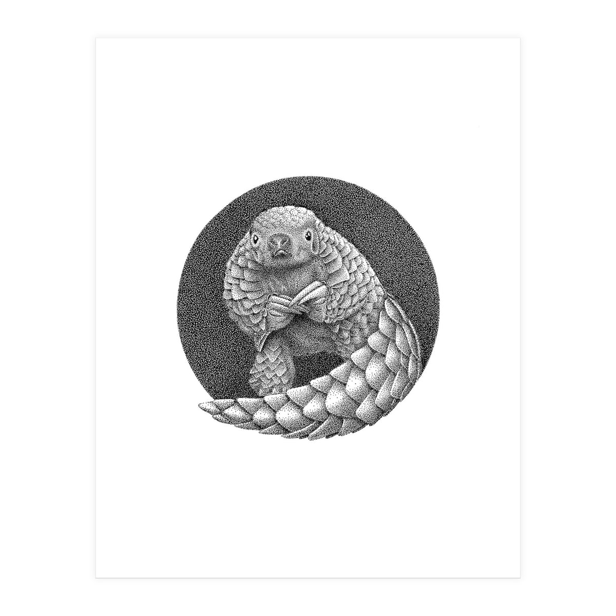 Pangolin no. 1 (Print Only)