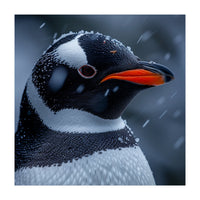 Close Up Penguin Portrait In Snowy Weather (Print Only)