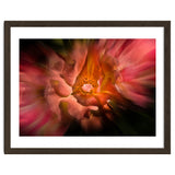 Backyard Flowers No 40 Color Flow Version thumbnail