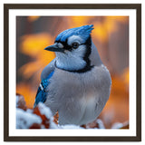 Blue Jay Bird In Winter Snowfall And Leaves thumbnail