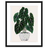 Philodendron Plant thumbnail