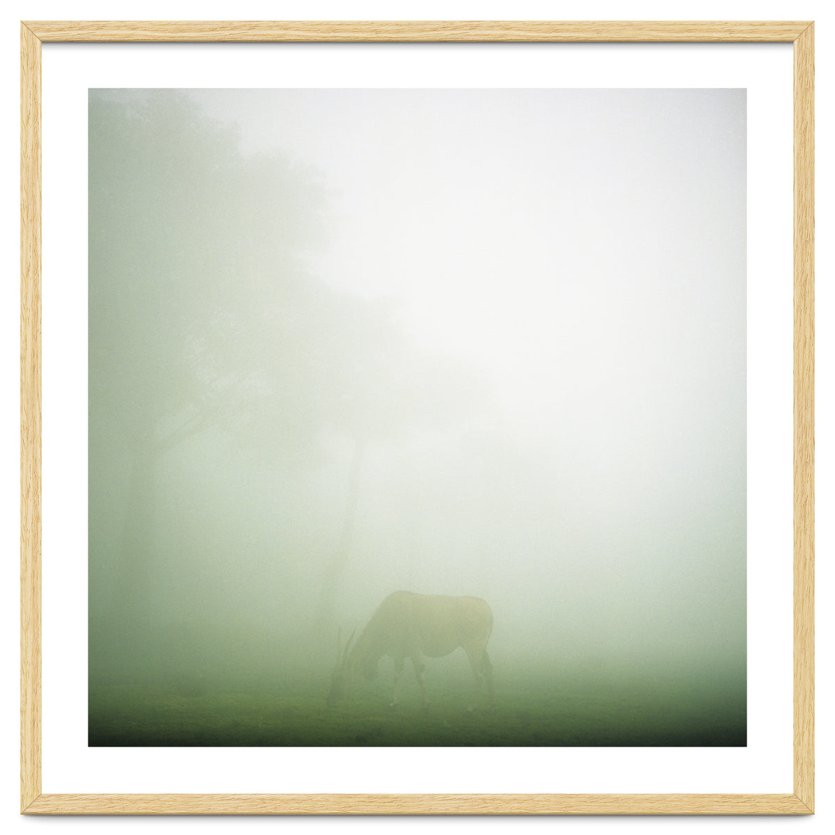 Silence of breath - 09