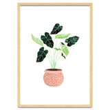 Home Plant | Ceramic Botanical Planter Illustration | Minimal Bohemian Watercolor Painting Polka Dot thumbnail
