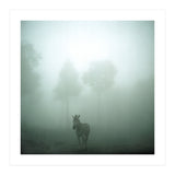 Silence of breath - 01 (Print Only) thumbnail
