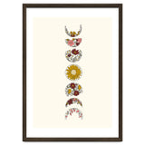 Floral Phases Of The Moon thumbnail