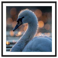 Close-up Shot of a Swan with Water Droplets