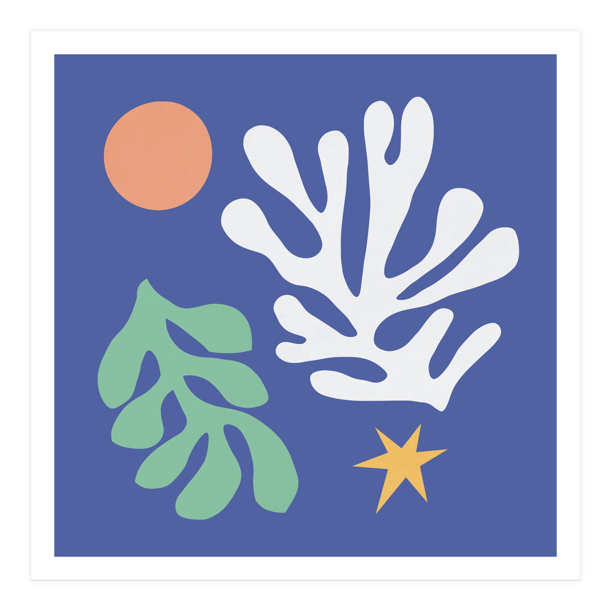 Floral matisse 2 (Print Only)