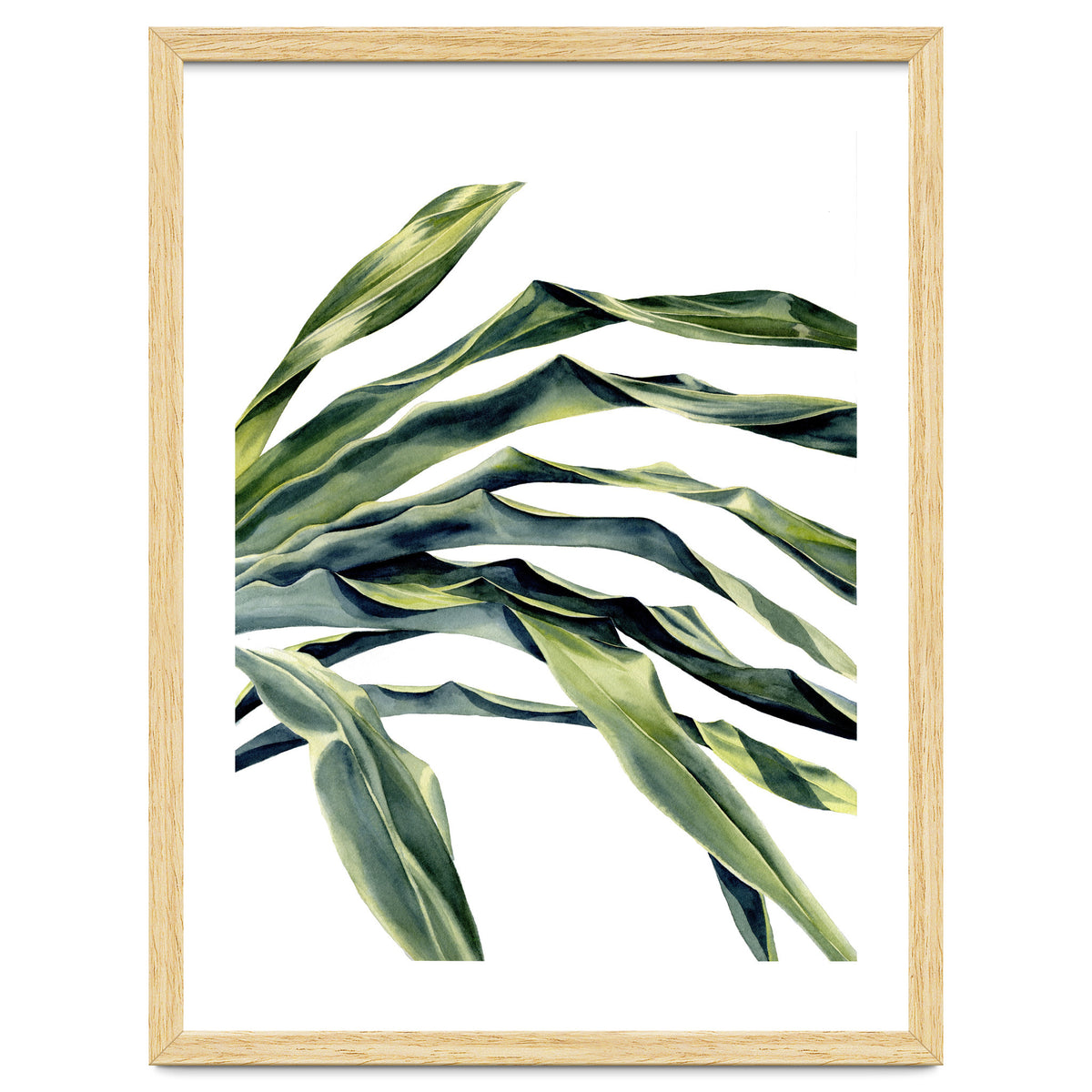 Green Palm Leaves