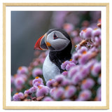 Atlantic Puffin Amidst Pink Heather Flowers thumbnail