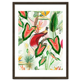 Vintage Bird Of Paradise in Jungle thumbnail