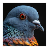 Close Up Of A Pigeon Bird (Print Only) thumbnail
