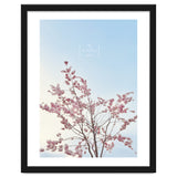 Sakura - cherry blossom thumbnail