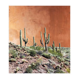 Rustic (Print Only) thumbnail
