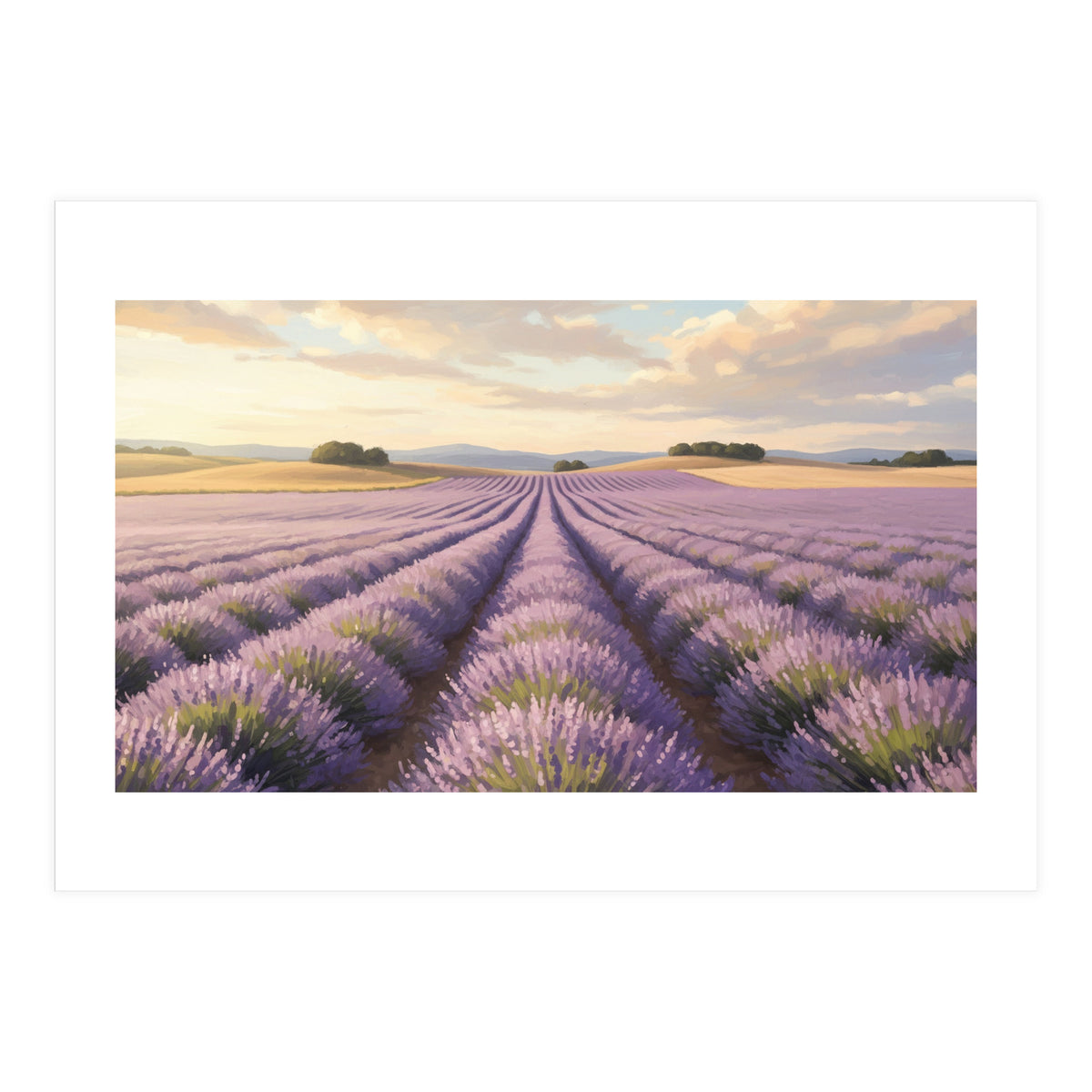 Provençal Sunset: Lavender Field Landscape (Print Only)