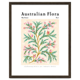 Australian Flora: Wax Flower thumbnail