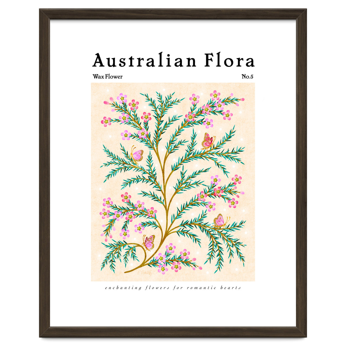 Australian Flora: Wax Flower