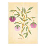 Vintage Fruits (Print Only) thumbnail