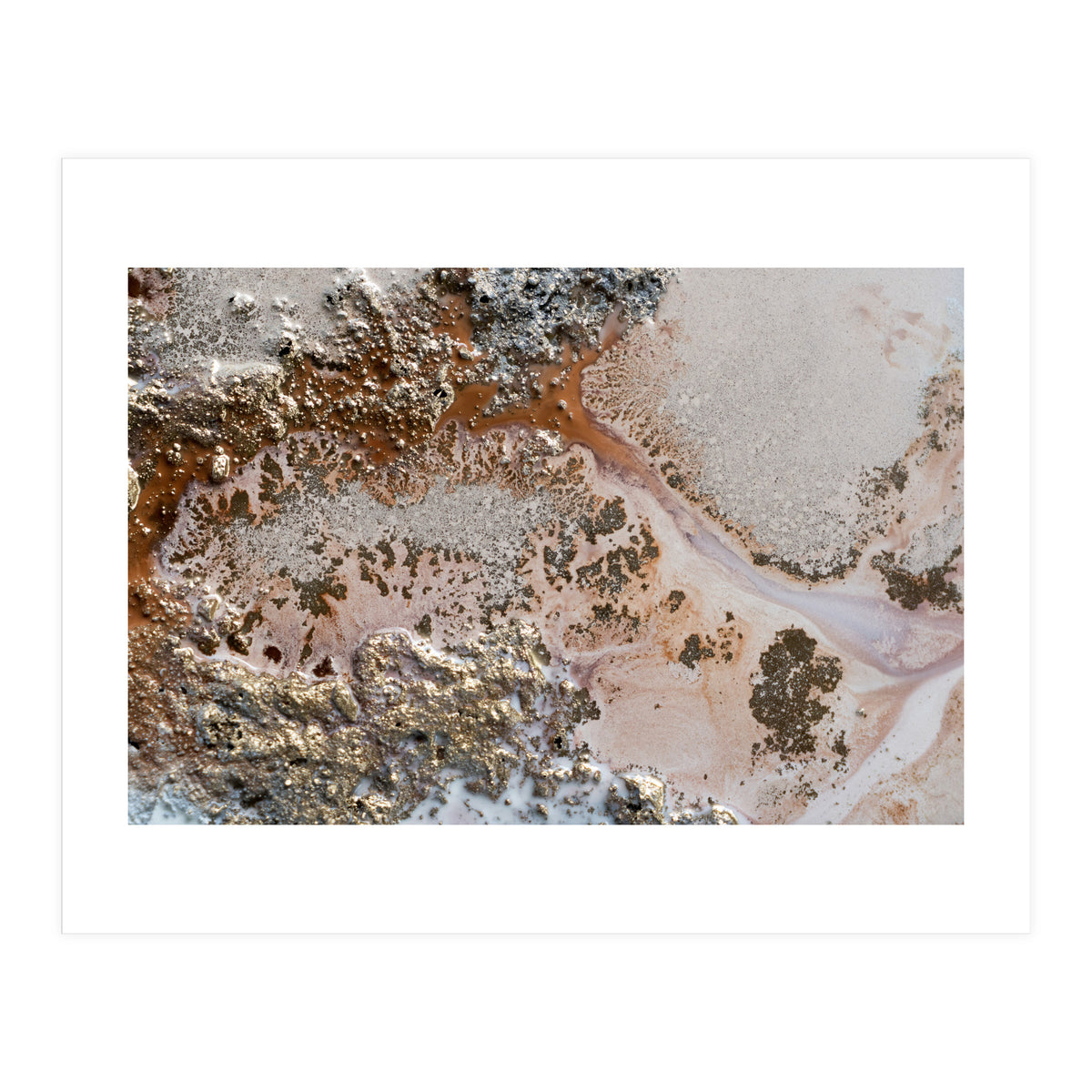 Conection (Print Only)