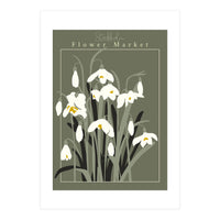 Flower Market Stockholm  Snowdrop (Print Only)