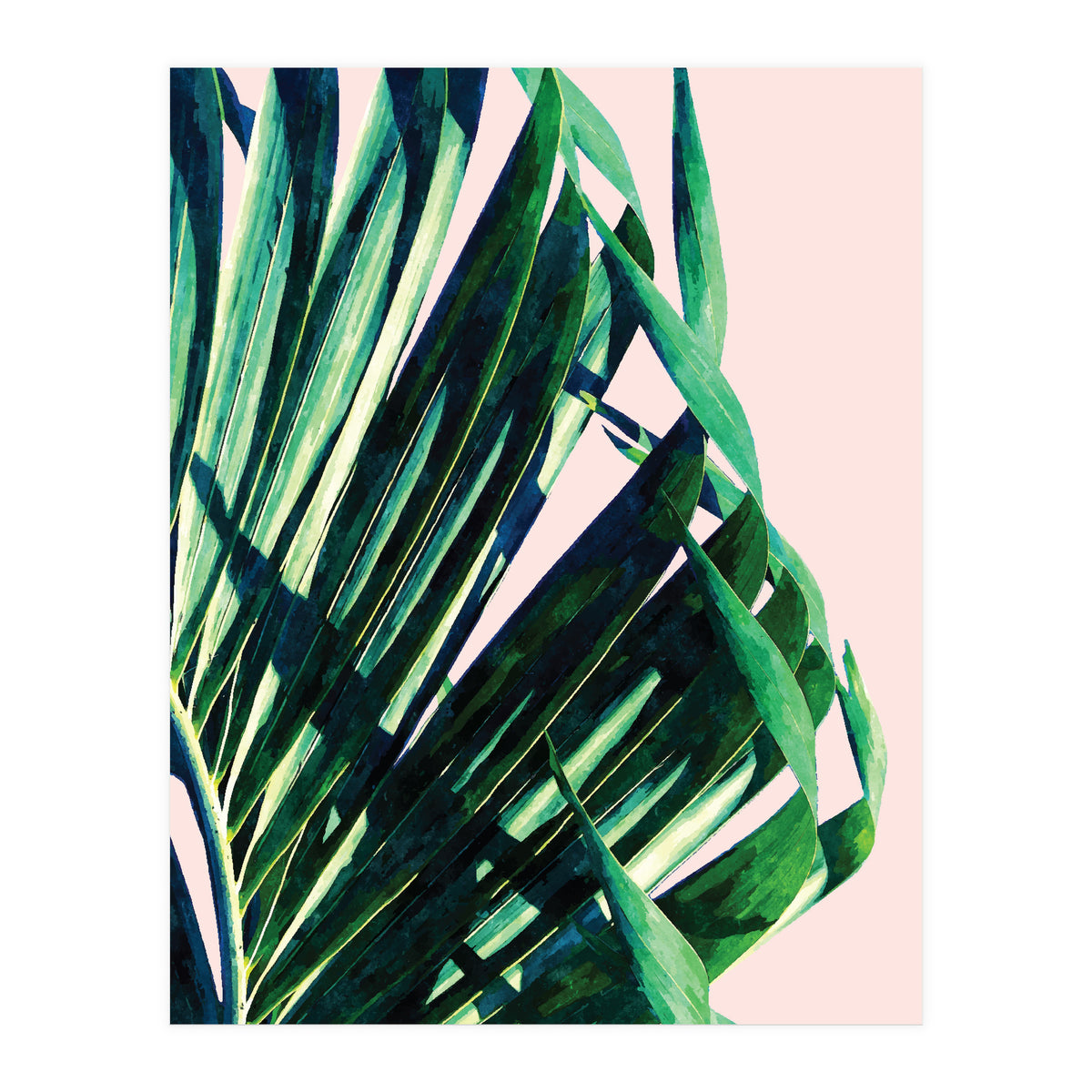 Palm V2 (Print Only)