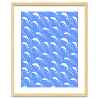 Swimming dolphins