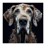 Old Dog 04 (Print Only) thumbnail