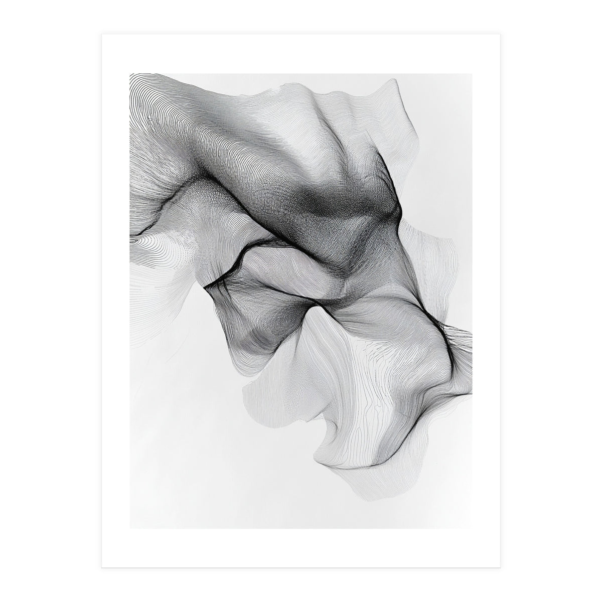 Abstract Black And White Flowing Lines Forming Organic Shapes And Forms (Print Only)