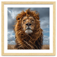 Majestic Lion Portrait Windblown Mane Outdoors