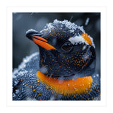 Close Up Penguin In Snow With Water Droplets (Print Only) thumbnail