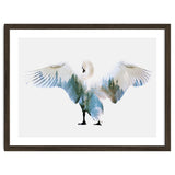 Swan thumbnail