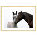 Two Horses thumbnail